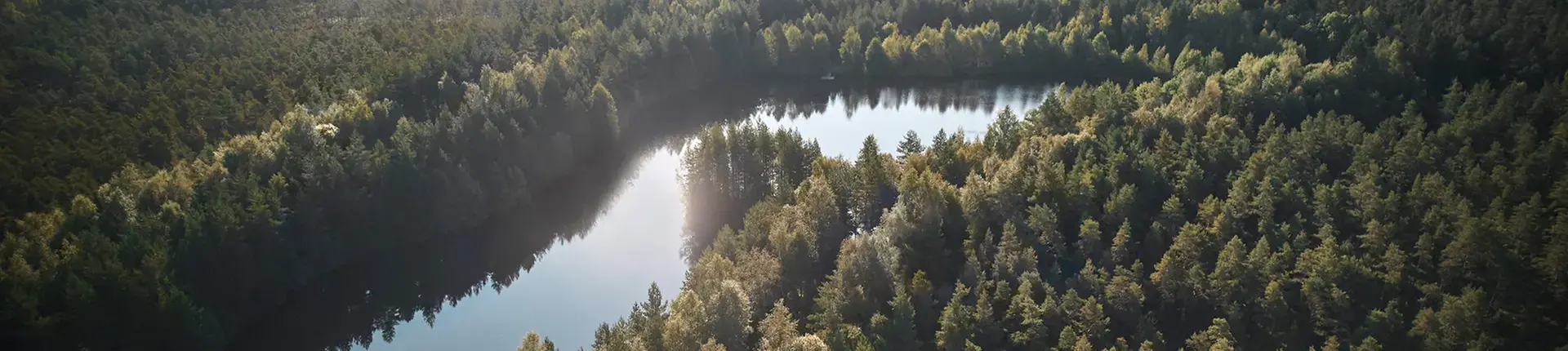 en vy över en sjö i Nässjö och massor av granskog.
